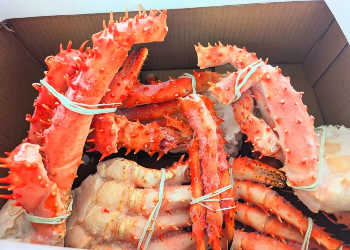 Eine rote große Kings Crab liegt in einem Karton.