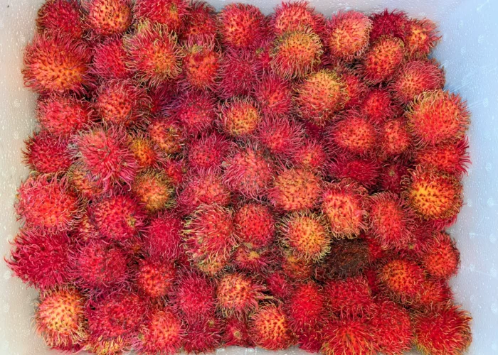 Viele Rambutans liegen in einer weißen Box zum Verkaufen bereiet.